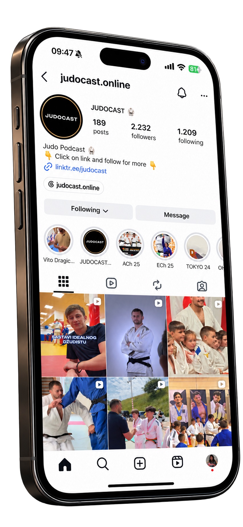 Instagram profile on a phone